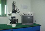 ���ͼƬ�鿴����